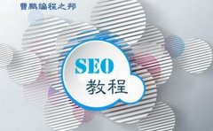 【新seo教程】SEO入门教程有哪些